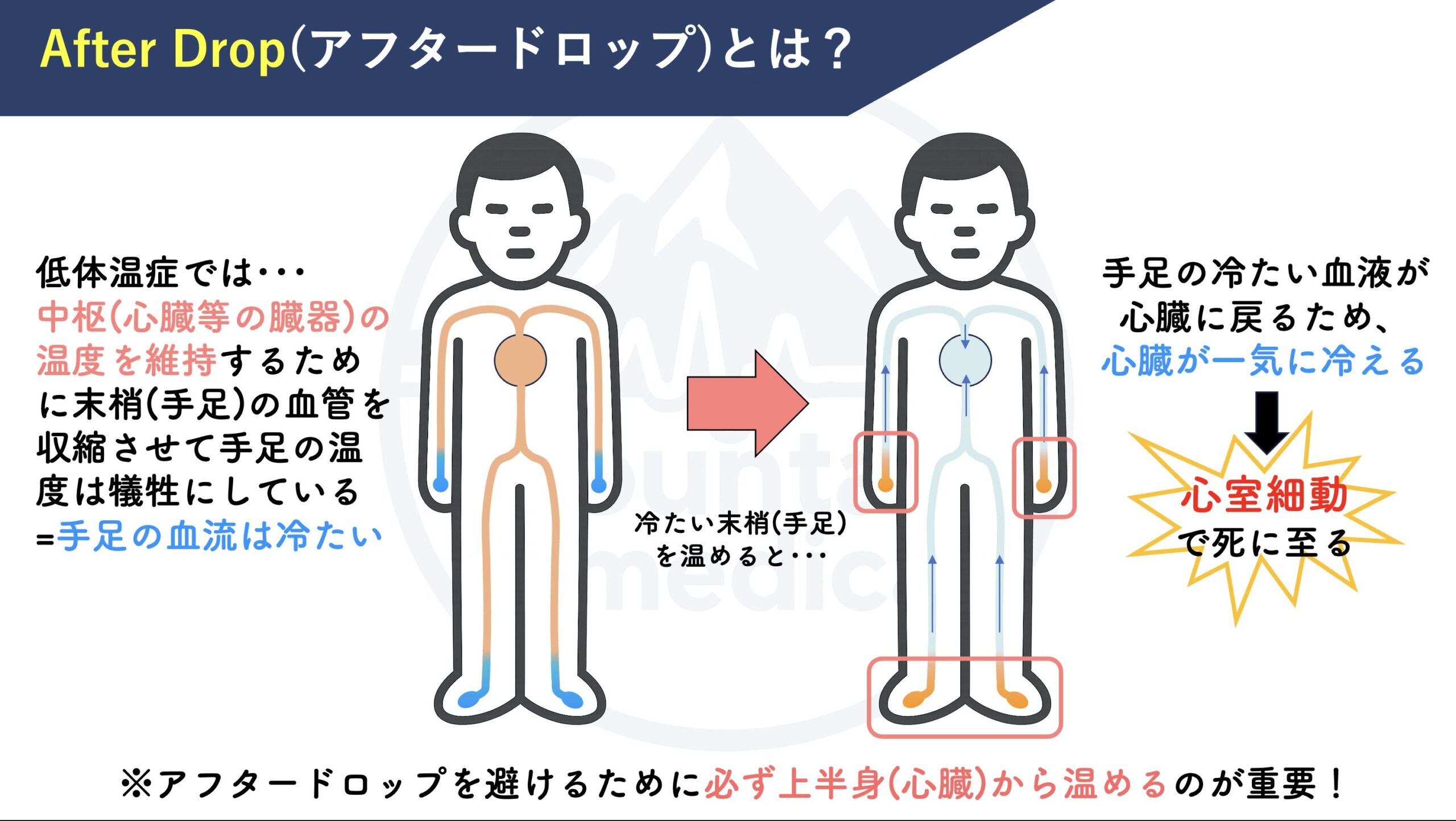 低 体温 症