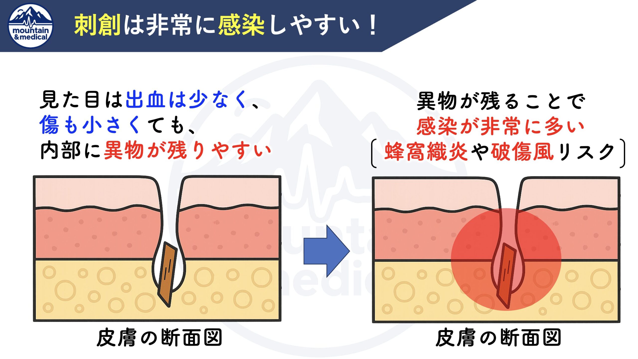 活動歴および当時の関連ビジュアル記録