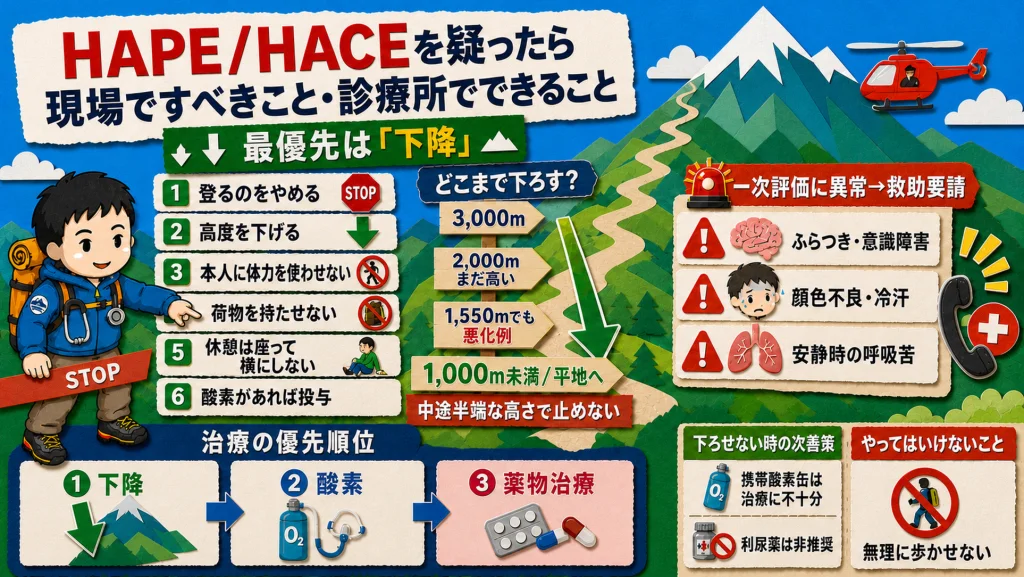 高地肺水腫・高地脳浮腫を疑ったときの対処法の図解。最優先は下降で、標高1,000m未満まで下ろす。1,550mでも悪化した例がある。本人に体力を使わせず荷物を持たせない。治療の優先順位は下降・酸素・薬物治療の順