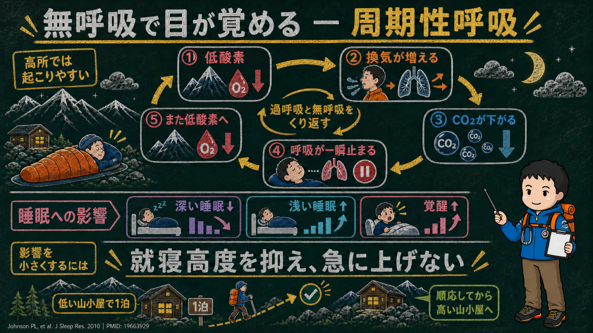 高所の周期性呼吸で目が覚める仕組みの図解。低酸素→換気が増える→二酸化炭素が下がる→呼吸が一瞬止まる→また低酸素をくり返し、深い睡眠が減って浅い睡眠と覚醒が増える。対策は就寝高度を抑え、低い山小屋で1泊して順応してから高い山小屋へ