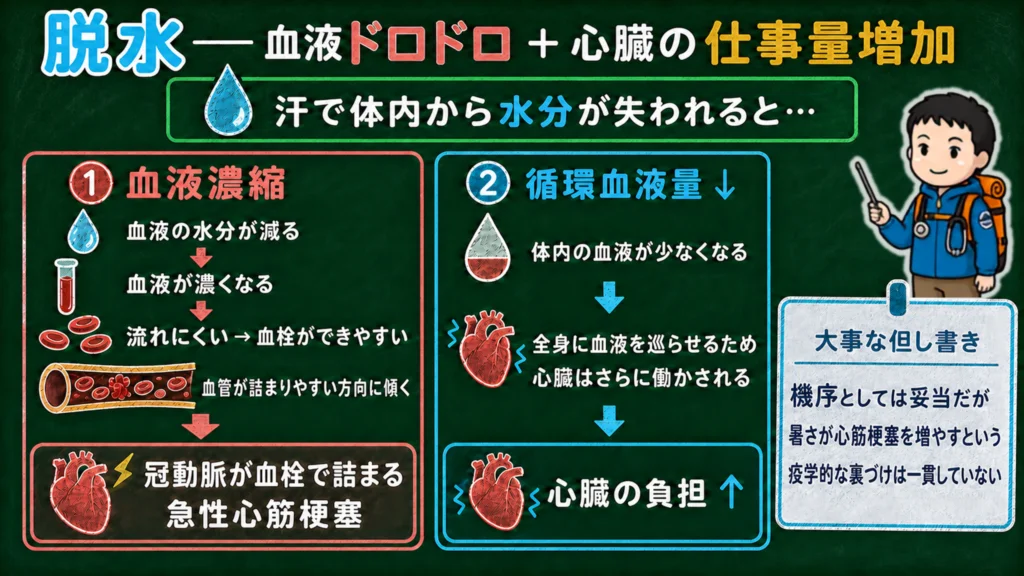 脱水で血液が濃くなり血栓ができやすくなること、循環血液量が減って心臓の仕事量が増えることを示した図解