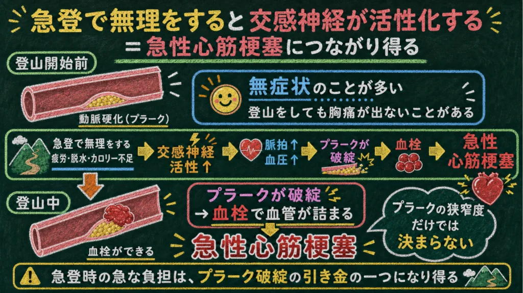 登り始めの急登で交感神経が高ぶり、血圧と心拍数が跳ね上がる仕組みの図解