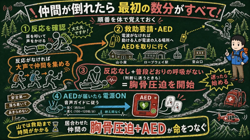 仲間が倒れたときに最初にすべき4つの行動。反応の確認、救助要請とAEDの手配、胸骨圧迫、AEDの使用を示した図解